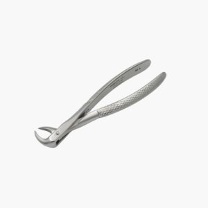 UK kohornstang nr. 86A, molarer